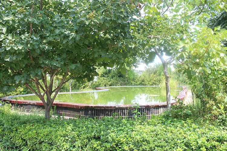 三亿体育·三亿官方网站-三亿(中国)机械厂区环境优美